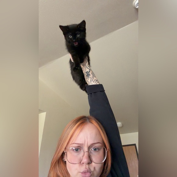 Meet your Posher, Hannah - Picture 4 of 4